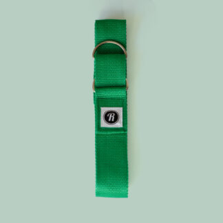 Roll With It Skate Leash Roll With It Skate Leash