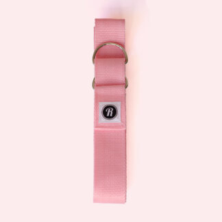 Roll With It Skate Leash Roll With It Skate Leash