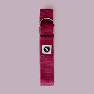 Roll With It Skate Leash Roll With It Skate Leash