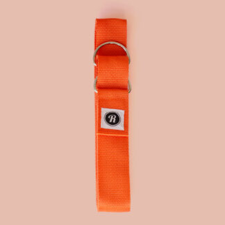 Roll With It Skate Leash Roll With It Skate Leash