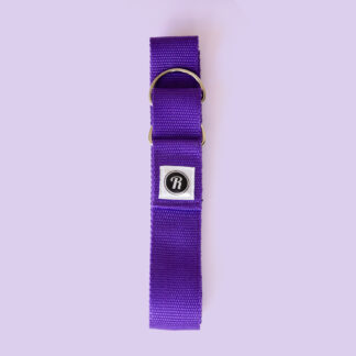Roll With It Skate Leash Roll With It Skate Leash