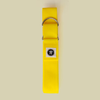 Roll With It Skate Leash Roll With It Skate Leash